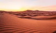 Tragic Sacrifice: French Couple Forced to Abandon Son in Sahara Desert to Survive