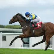 Trueshan's Tragic Death at Goodwood: Hollie Doyle's Heartbreak Over Beloved Horse