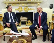 Trump, Putin, Rutte, and Zelenskyy in High-Stakes Talks Over Ukraine Crisis