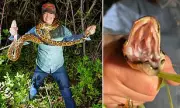 Trump's 'Swamp Barbie' Brooke Rollins Shows Off Jaw-Dropping Python Capture in Florida