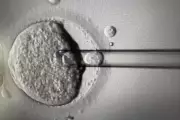 UK Approves Revolutionary IVF Technique Using DNA from Three Parents