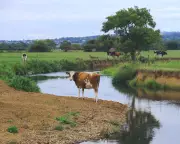 UK Farmers to Receive Payments for Protecting Waterways Under New Sustainable Farming Scheme