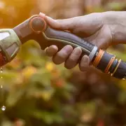 UK Households Alert: Common Garden Mistake Could Cost You Thousands