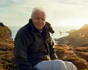 UK Public Service Broadcasters May Soon Dominate YouTube, Ofcom Report Suggests