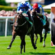 Undefeated Wonder Colt Isaac Shelby Storms to Victory at Sandown – Tony Bloom's Rising Star Shines Again!