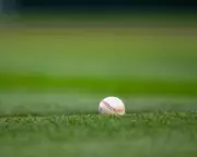 Venezuela's Little League Team Denied US Visas for 2025 World Series