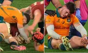 Wallabies Fume Over Controversial Lions Try – Was It Really Dangerous?