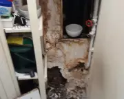 Wandsworth Council Under Fire as Tenant Left in Mould-Infested Flat for Years