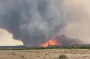 Watch: Rare Fire Vortex Spiral Captured in Utah Wildfire – A Mesmerising Yet Deadly Phenomenon