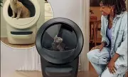 Whisker Litter-Robot 4: The Ultimate Self-Cleaning Litter Box Now on Sale!