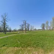 XL Bully Dog Kills Owner in Tragic Attack: What We Know So Far