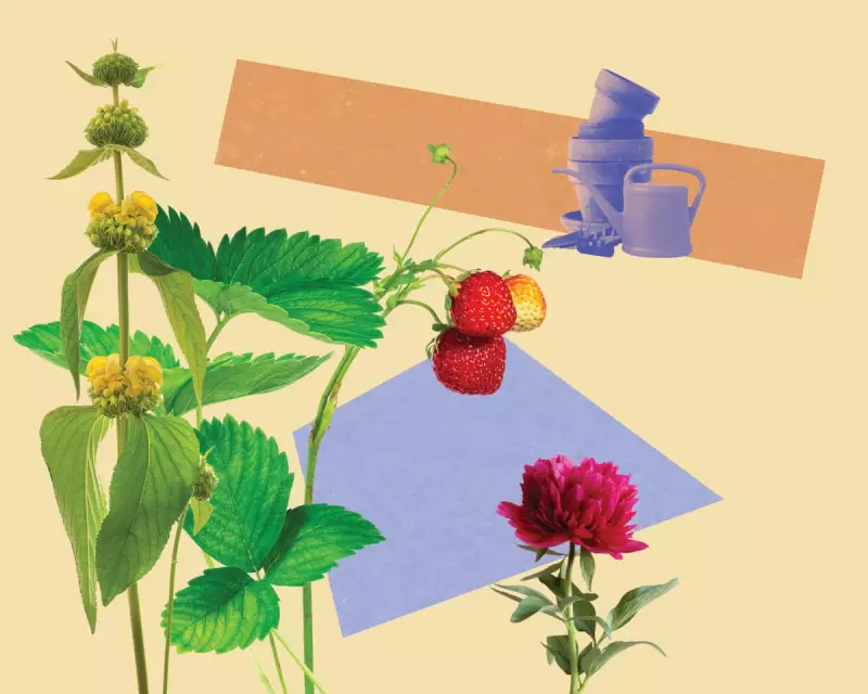 10 Late Summer Garden Ideas to Brighten Your Outdoor Space