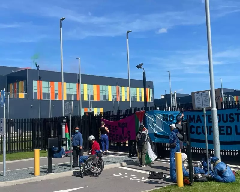 Activists Storm Microsoft Site in Netherlands Over Israeli Military Data Storage