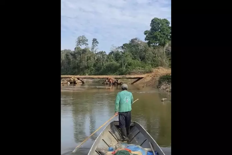 Amazon Tribes Unite Against Deforestation: Historic Pact Seals Protection of Sacred Rainforest