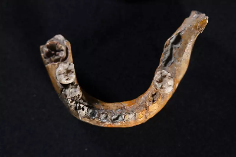 Ancient Skhul Cave Bones Rewrite Human History: Evidence of Early Human-Neanderthal Interbreeding Revealed