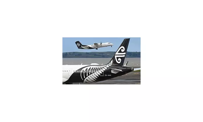 Auckland Airport Chaos: Passenger Injured in Freak Accident, Flights Delayed Amid Safety Probe