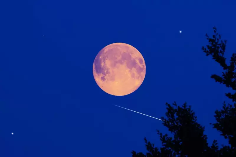 August 2025 Sturgeon Moon: A Spectacular Celestial Event Paired with Perseid Meteor Shower