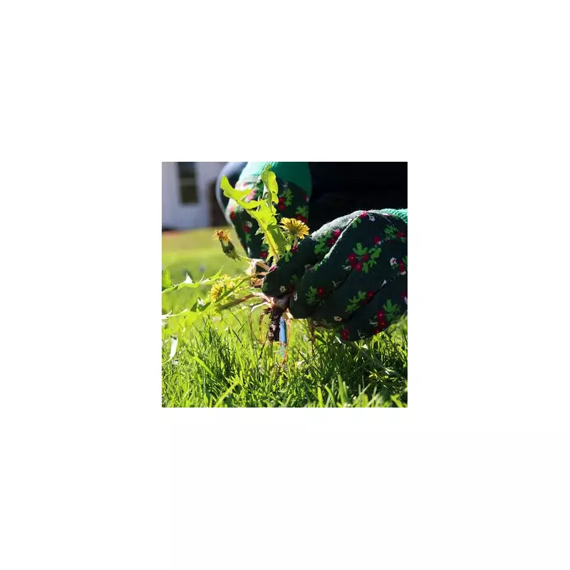 Banish Weeds Naturally: The One Kitchen Ingredient That Saves Your Lawn