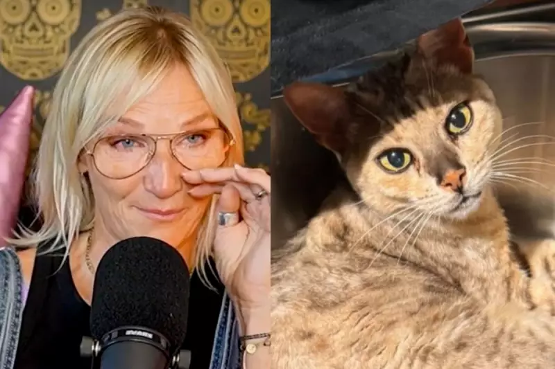 BBC Star Jo Whiley's Cat Causes Kitchen Catastrophe: Husband's Grisly Injury Revealed