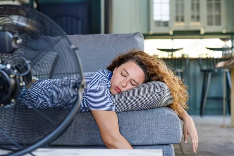 Beat the Heat Without Breaking the Bank: Expert Tips for a Cooler Home This Summer