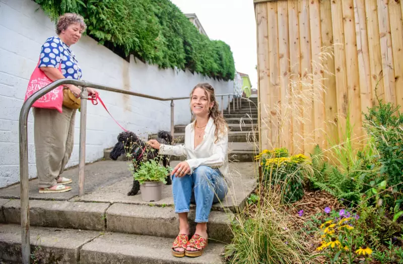 Bee Buffets: How 'Pollinator Pathways' Are Transforming UK Urban Wastelands into Thriving Insect Havens