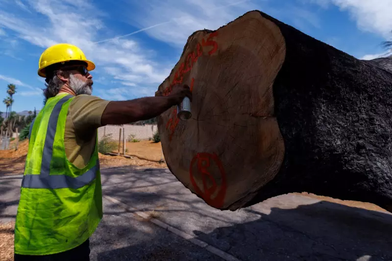 California Wildfire Survivor's Incredible Act of Kindness After Losing Everything