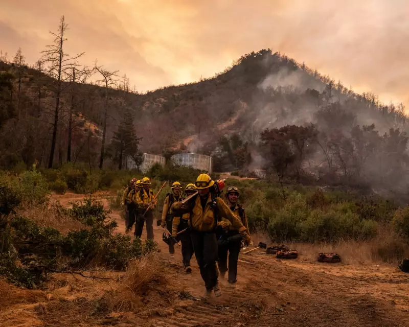 California's Napa Valley Engulfed: Fast-Moving Wildfire Forces Mass Evacuations and Threatens World-Famous Vineyards