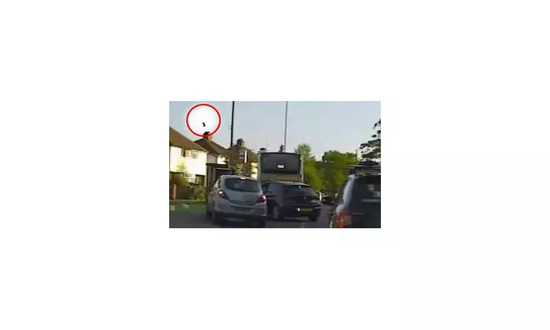 Caught on Camera: Desperate Drug Dealer's Failed Cocaine Toss During Police Chase in Westminster