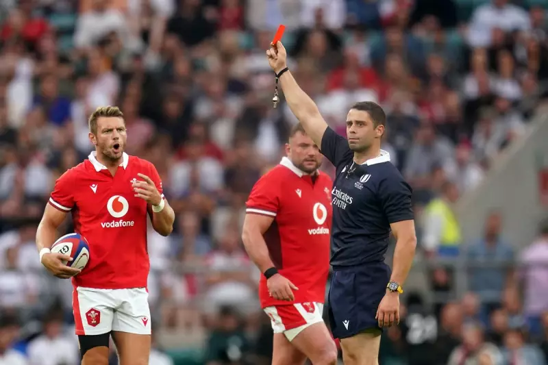 Controversial Referee Nika Amashukeli to Officiate Australia vs Lions Third Test