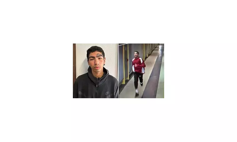 Daring Escape: Robbery Suspect Flees Police at Seattle Airport in Dramatic Chase