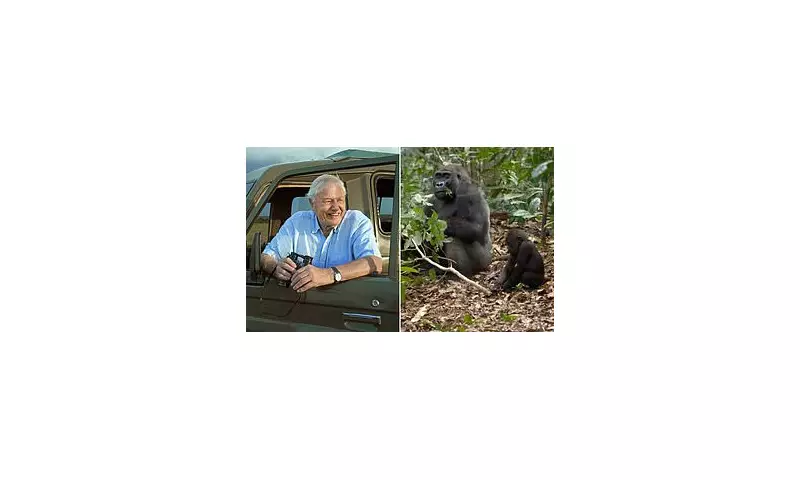 David Attenborough's New 'Parenthood' Series Delights Fans with Stunning Wildlife Footage