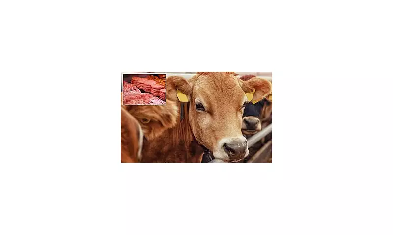 Deadly Superbug Jumps from Cattle to Humans: Alarming New UK Health Crisis Emerges