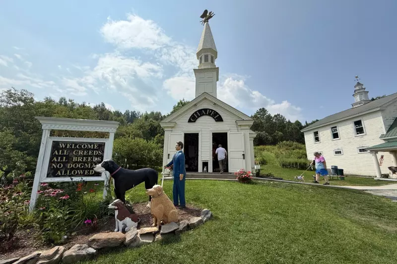 Dog Mountain: Vermont’s Unique Pet-Friendly Retreat Where Dogs Run Free
