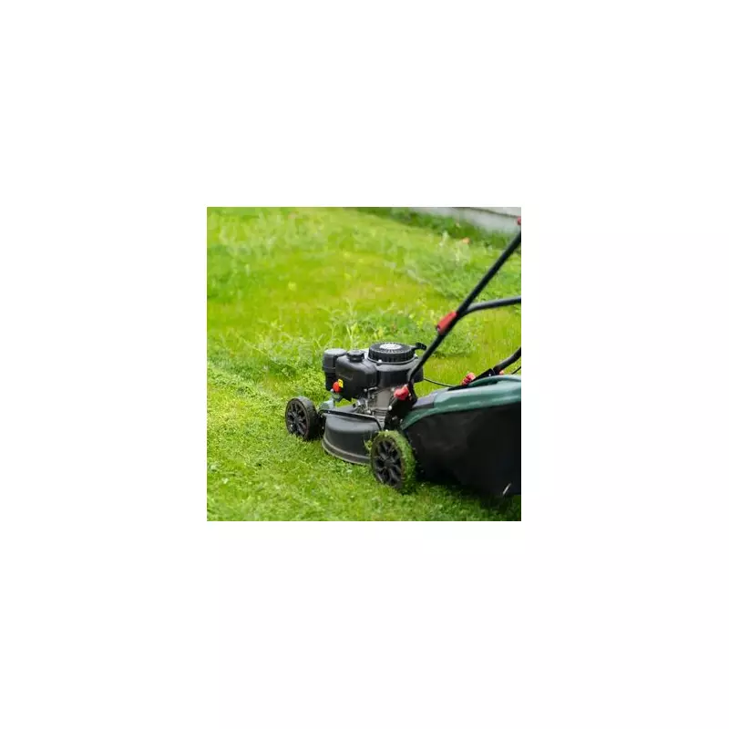 Easy Ways to Keep Weeds Out of Your Lawn Naturally
