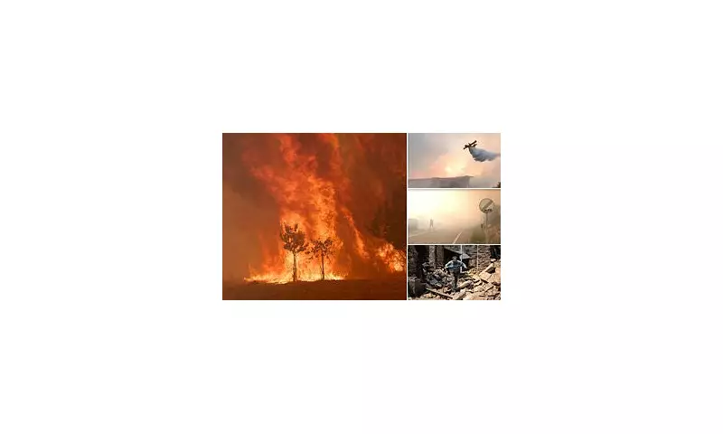 Europe in Flames: Spain and Portugal Battle Catastrophic Wildfires in Worst Season on Record
