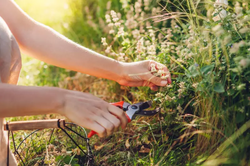 Expert Autumn Gardening Tips: How to Plant Bulbs for a Stunning Spring Display