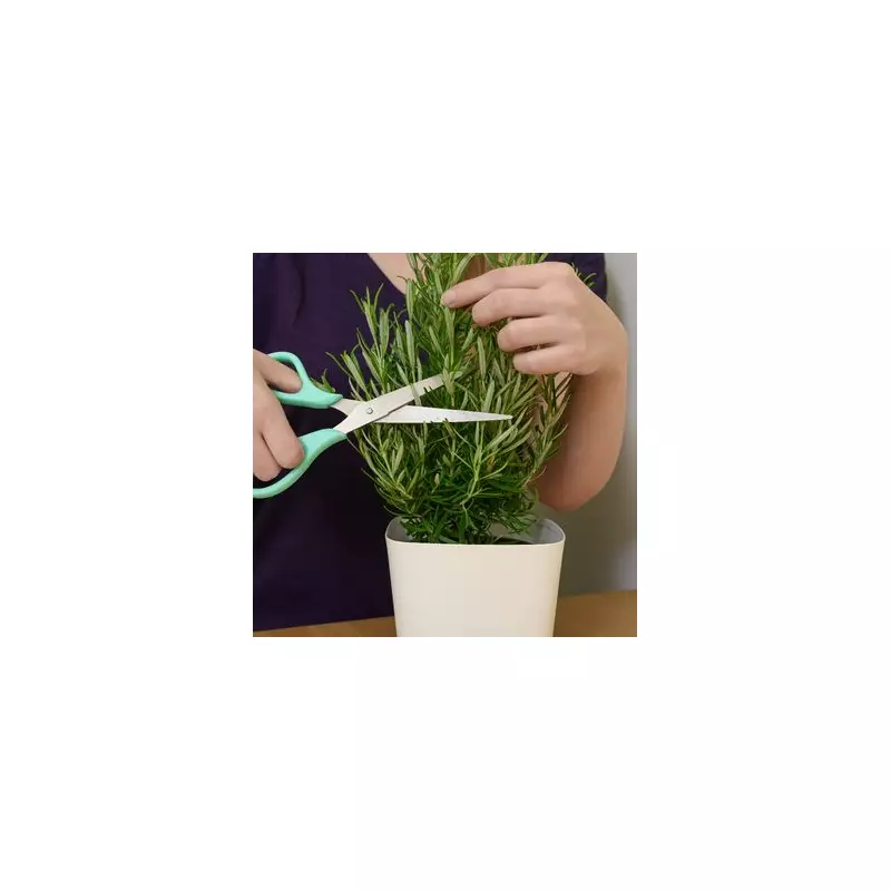Expert Tips to Keep Your Rosemary Thriving After Pruning