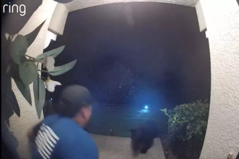 Florida Man Fights Off Black Bear in Terrifying Backyard Attack | Exclusive Details