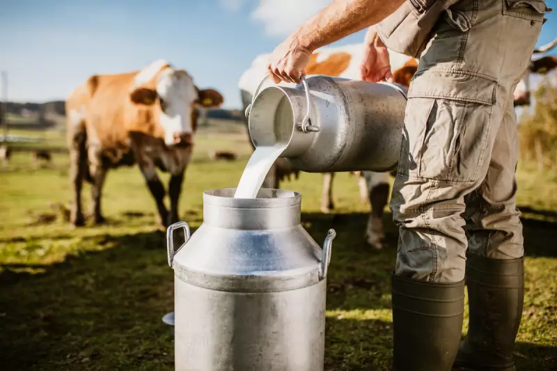 Florida Raw Milk Outbreak: E. Coli Warning Sparks Health Alert