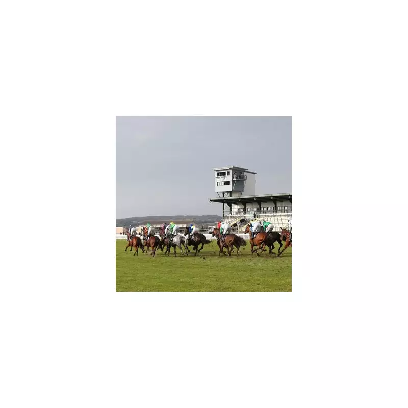 Friday's Fortune: Newsboy's Unmissable Horse Racing Tips for Six Key Meetings