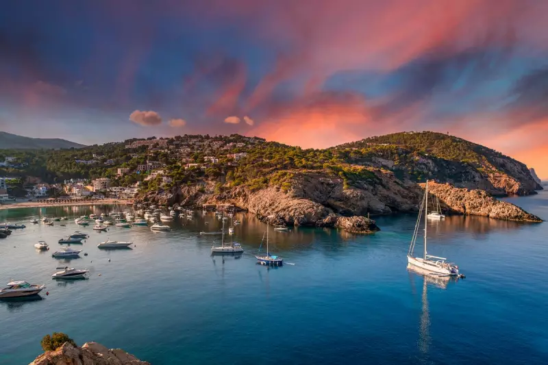 From Ibiza to London: How This Couple Built a Sustainable Life in the City