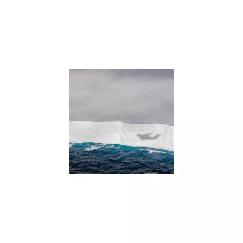Giant Iceberg A23a, The World's Largest, On Terrifying Collision Course With Southern Ocean Shipping Lanes