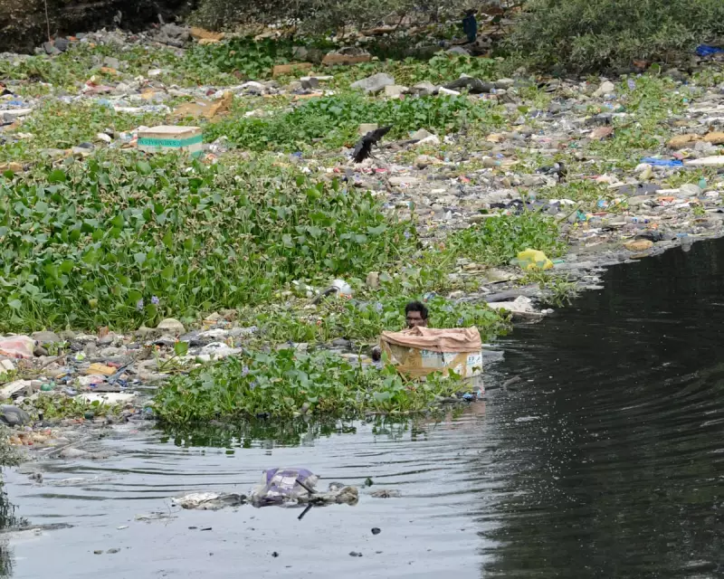 Global Plastic Crisis: Health Risks from Infancy to Old Age Revealed in Shocking Report
