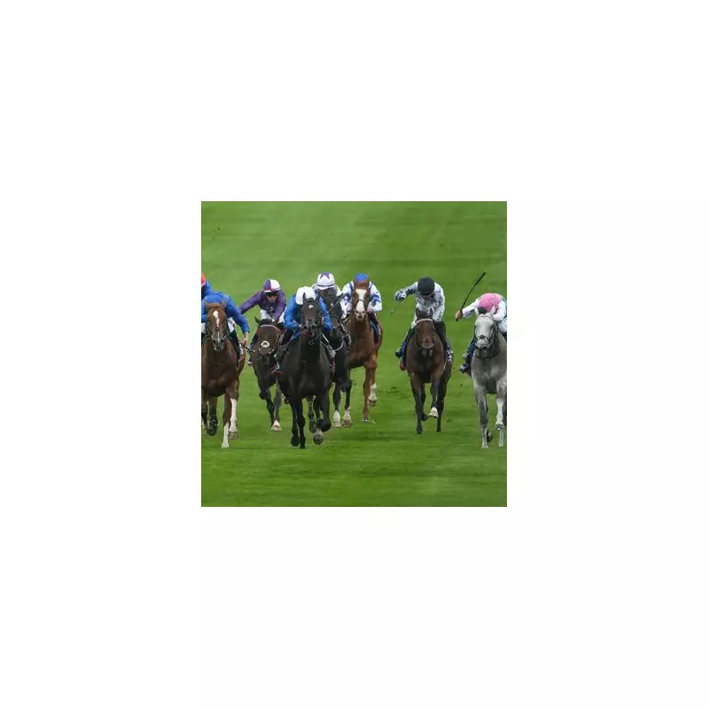 Godolphin Loses Landmark Court Battle Over Horse's Laminitis Death | Racing Industry Stunned