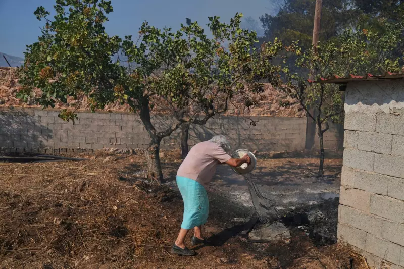 Greece Battles Devastating Wildfires as Heatwave Intensifies