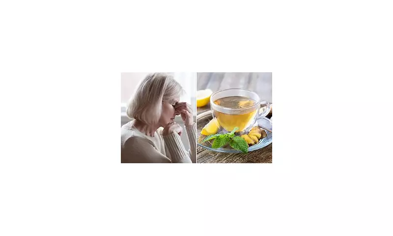 Green Tea's Brain-Boosting Secret: New Study Reveals Powerful Protection Against Alzheimer's Disease
