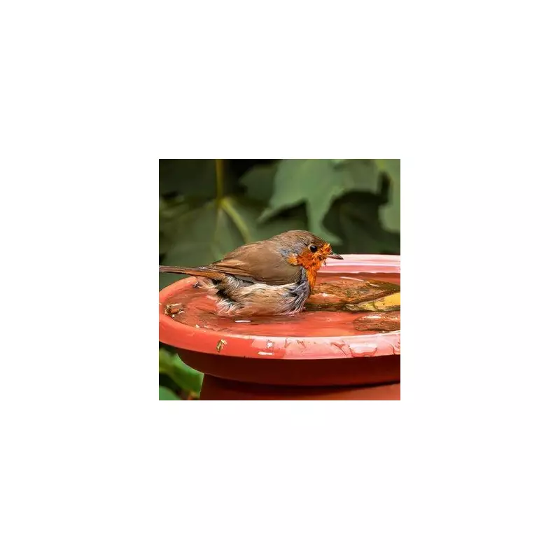 How to Attract Birds to Your Garden Naturally: 10 Essential Tips for a Wildlife Haven