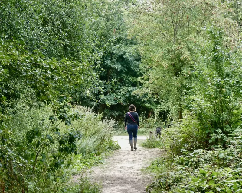 Human Connection to Nature Has Plummeted by 60% Over 200 Years, Study Reveals