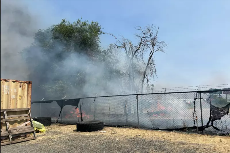 ICE Office in Washington Targeted in Suspected Arson Attack – Authorities Investigate