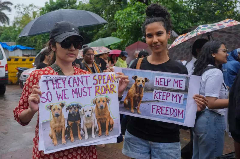 India's Supreme Court Orders Urgent Rabies Vaccine Reforms After Child's Tragic Death